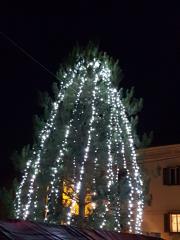 Praznična Sežana okupirala Trg osvoboditve3